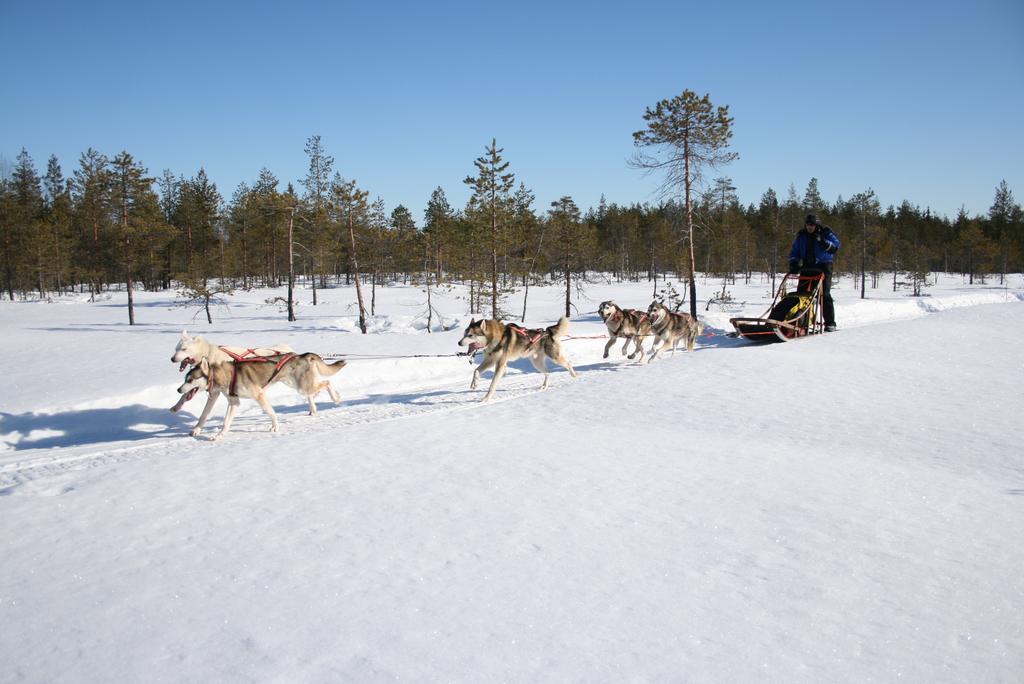 Loma-Vietonen Holiday Village Meltosjärvi Esterno foto