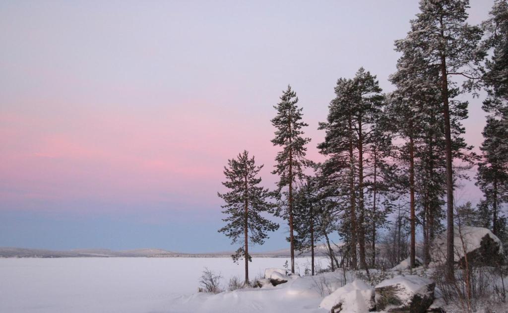 Loma-Vietonen Holiday Village Meltosjärvi Esterno foto